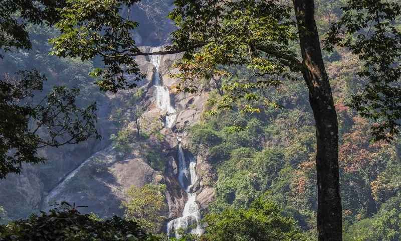 Kovai Kutralam Falls day tour from Coimbatore