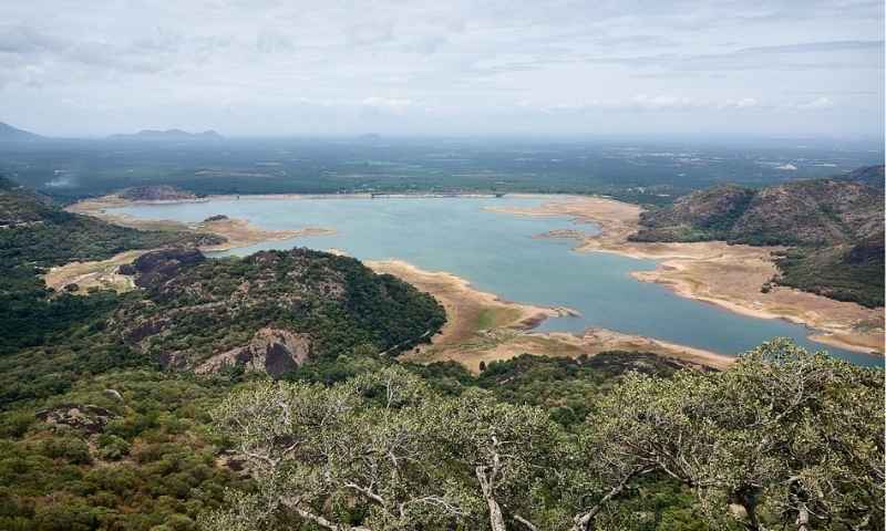 Pollachi and Aliyar Dam day trip from Coimbatore