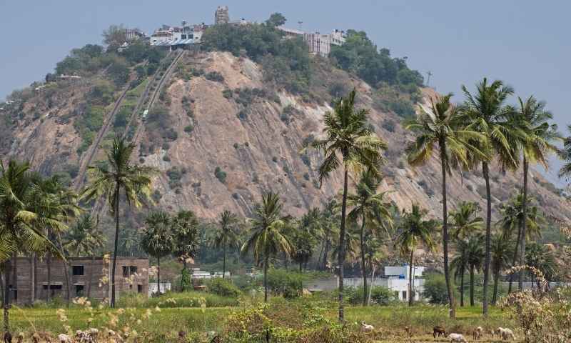 Coimbatore to Palani Murugan temple tour package — hilltop shrine darshan