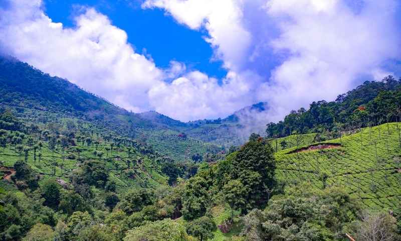 Coimbatore to Coonoor hill station tour package — tea estates and Sim's Park