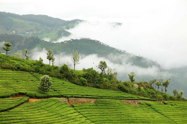 Dolphin's Nose viewpoint Coonoor — Nilgiri tour package from Coimbatore
