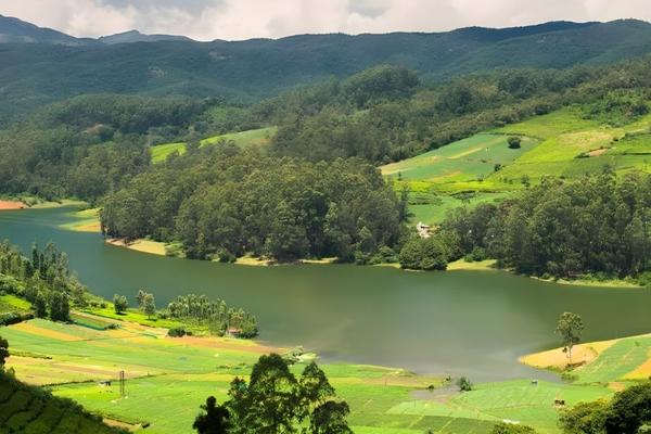 Wellington Golf Course area Coonoor — Coimbatore day tour package