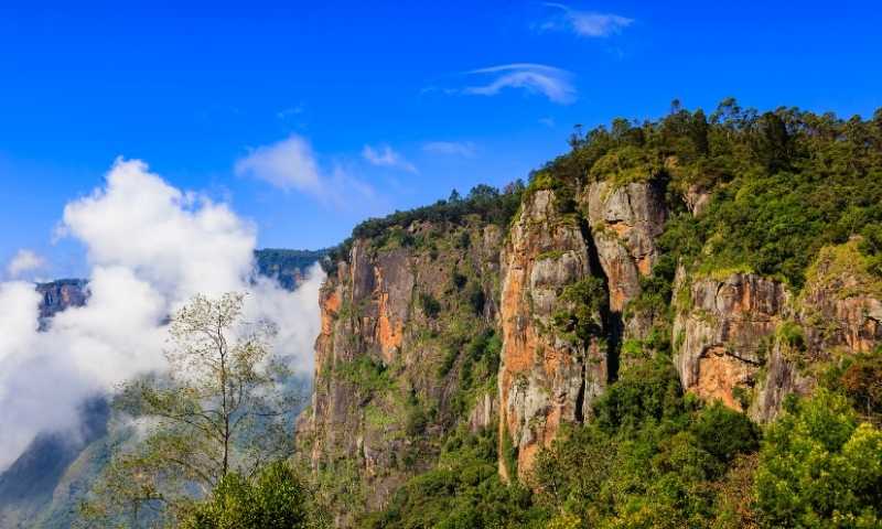 Coimbatore to Kodaikanal hill station tour package — lake, pine forests and viewpoints