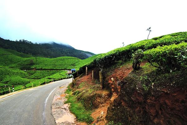 Mattupetty Dam lake Munnar — tour package from Coimbatore