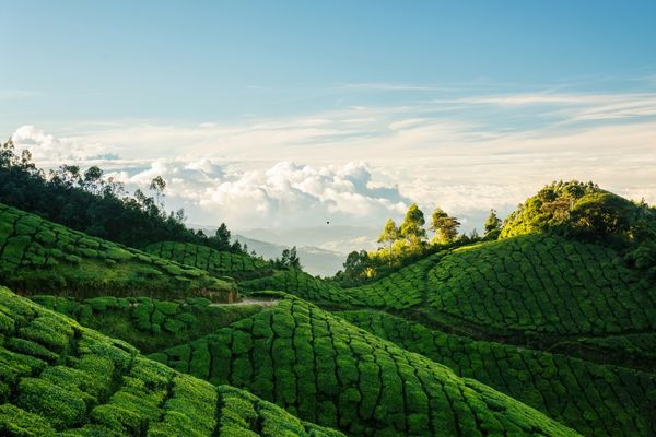 Top Station panoramic view Munnar — Western Ghats tour from Coimbatore