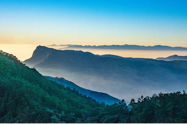 Munnar misty mountain valleys — Coimbatore getaway package