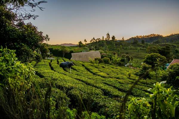 Ooty Lake boating — Coimbatore to Ooty tour package