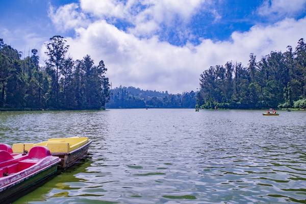 Government Botanical Garden at Ooty — Coimbatore hill station tour