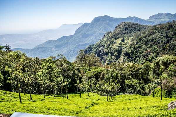 Government Rose Garden Ooty — Coimbatore to Ooty sightseeing tour
