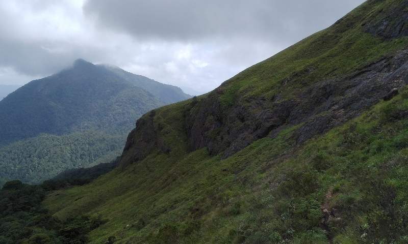 Coimbatore to Parambikulam wildlife tour package — sanctuary forest and reservoir views