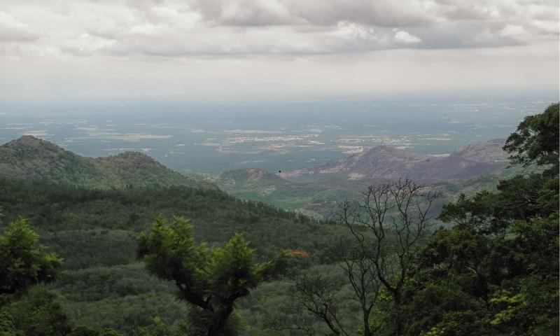 Coimbatore to Valparai hill station tour package — Anamalai plantation roads and viewpoints