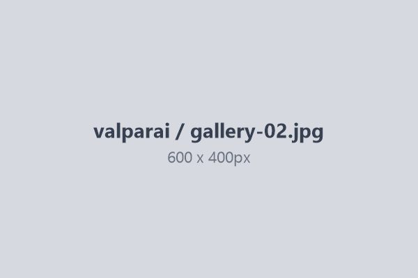 Anamalai hills hairpin bends Valparai — hill station package from Coimbatore