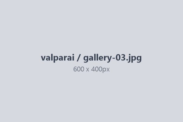 Nallamudi viewpoint Valparai — tour from Coimbatore
