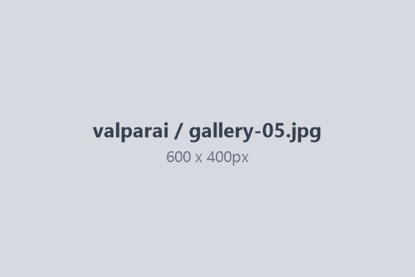 Balaji temple and plantation scenery Valparai — Coimbatore cab tour